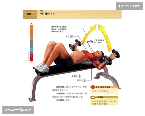 热身活动对运动表现和身体健康的重要性及科学方法解析 热身活动对运动表现和身体健康的重要性及科学方法解析